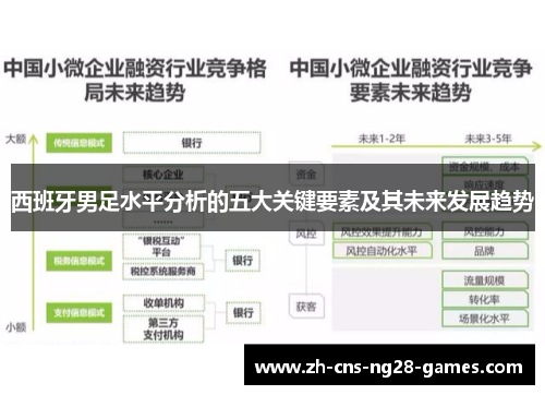 西班牙男足水平分析的五大关键要素及其未来发展趋势 西班牙男足水平分析的五大关键要素及其未来发展趋势